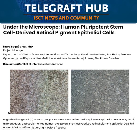 Joaquim Vives tweet media