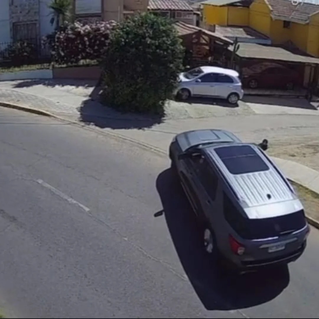 (2) La mujer tras detenerse, retroceder y poniéndose en marcha para atropellar a la perrita...