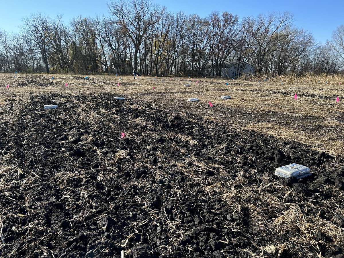 The crop season is over, but we continuing sampling for N2O analysis.