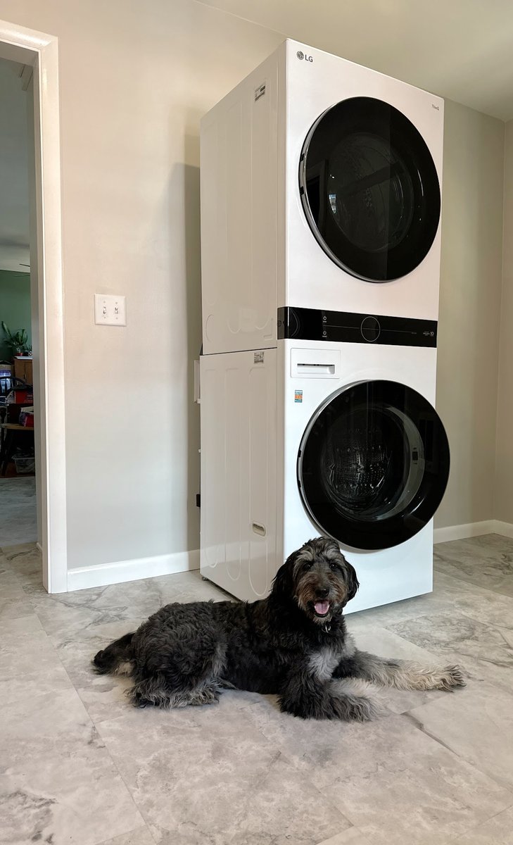 TheMartinComp's tweet image. This laundry stack is puppy-approved ✅