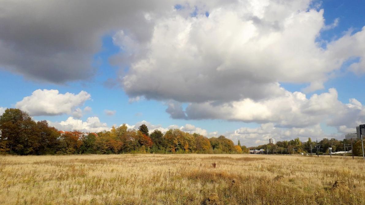 lesoir's tweet photo. Réduction du budget wallon sur la biodiversité : une quinzaine d’organisations tire la sonnette d’alarme https://t.co/g0sSfbASTF https://t.co/sPBPS9IQmN