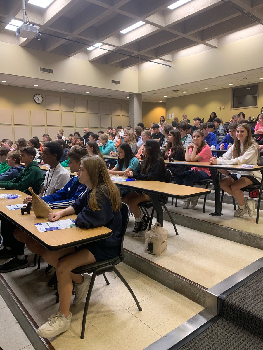 Alessandra Mercon tweet media