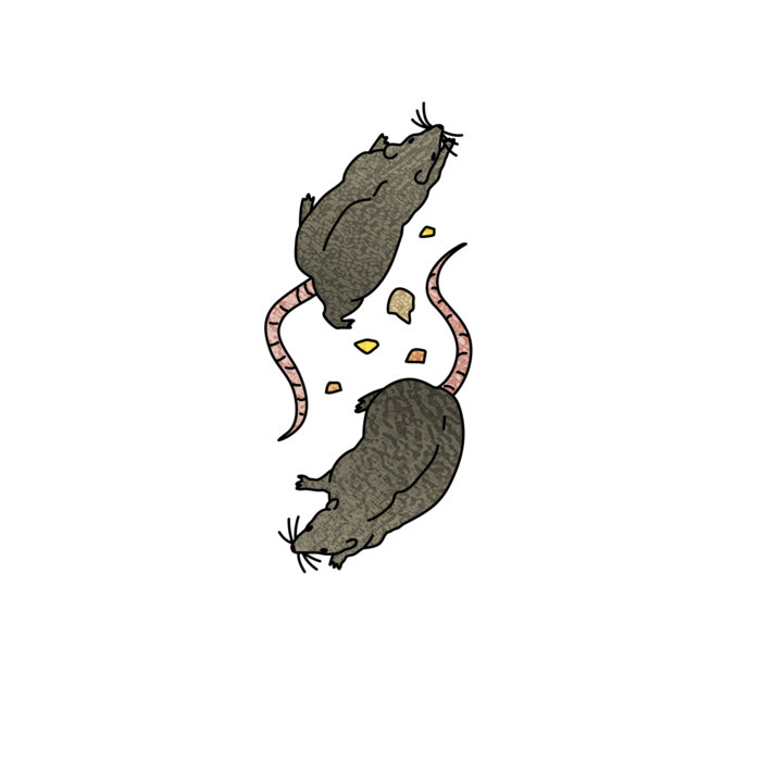 maxmobarry's tweet image. "My Dilemma" out now, a goofy song about making goofy songs.
Thank you to Joey Frevola (KYROS) for asking me to sing on this, so glad it's finally out after like 3-4 years of making this happen. 🎤

joeyfrevola.bandcamp.com/track/my-dilem…

FFO: Weird Al vs Stephen Sondheim (but prog metal)