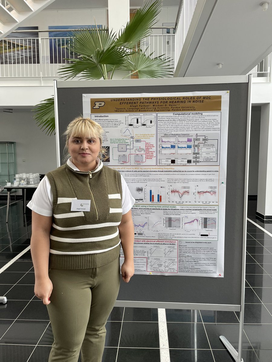 Afagh Farhadi tweet media