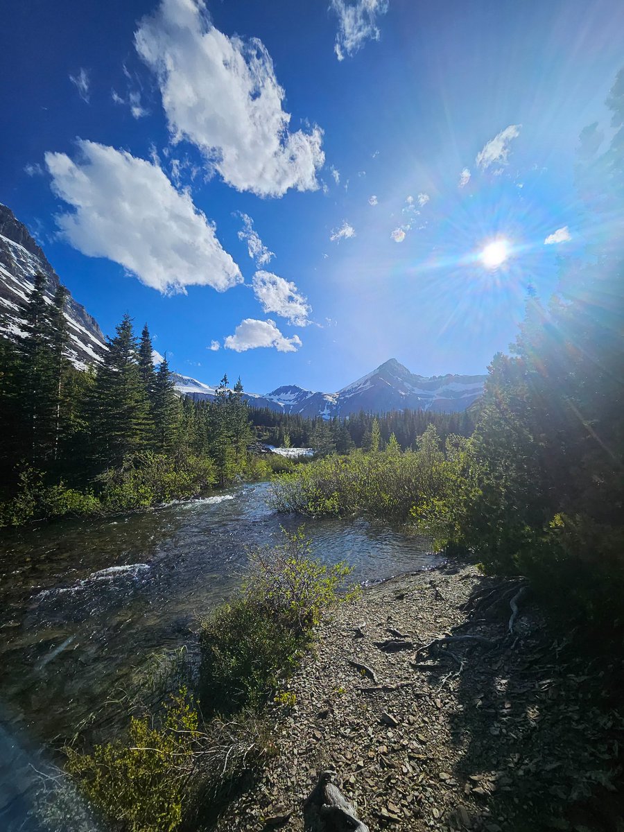 LotsaNo's tweet photo. @pnwguerrilla @9mmsmg Montana has some decent streams. https://t.co/wJNEBdmNNu