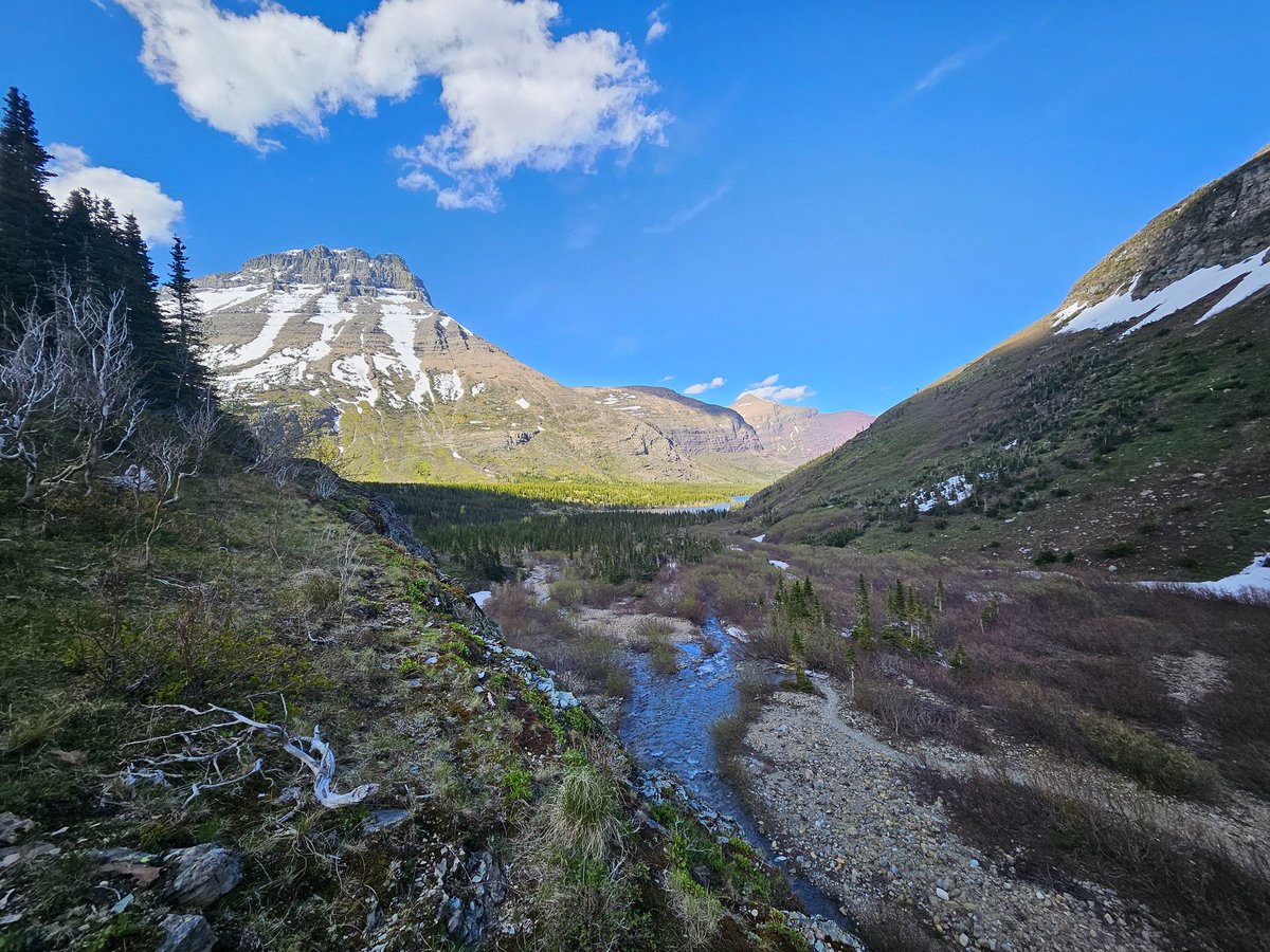 LotsaNo's tweet photo. @pnwguerrilla @9mmsmg Montana has some decent streams. https://t.co/wJNEBdmNNu
