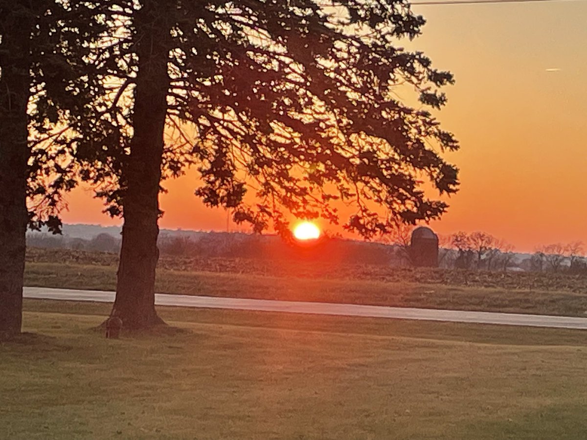 Papa Dino tweet media