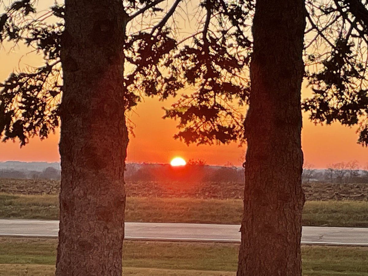 Papa Dino tweet media