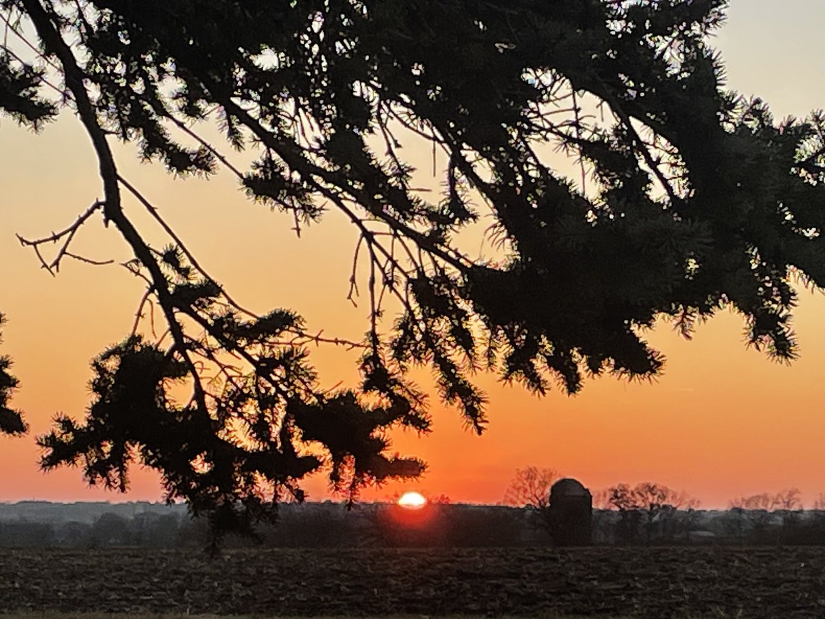 Papa Dino tweet media