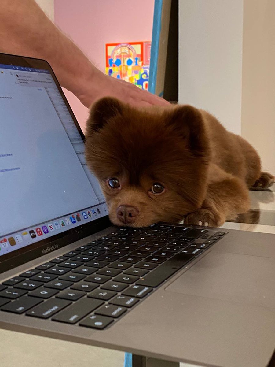 trader1sz's tweet image. $BERT @bertcoincto small risk big reward setup if correct on idea