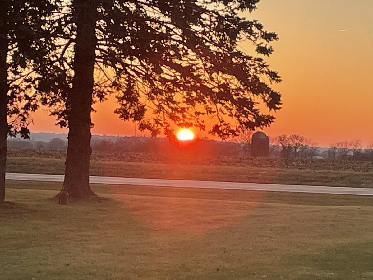 Papa Dino tweet media