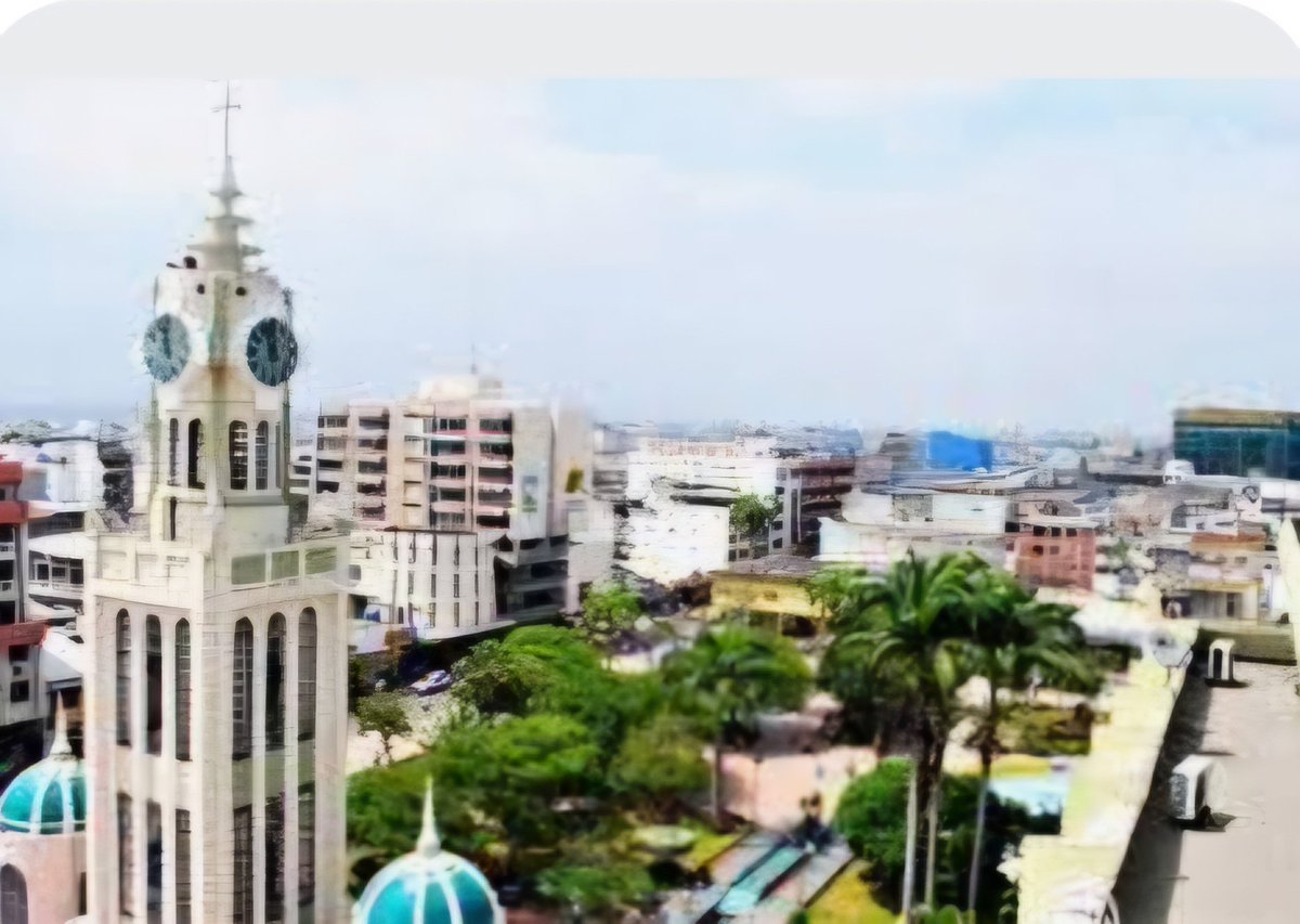 Renato González tweet media