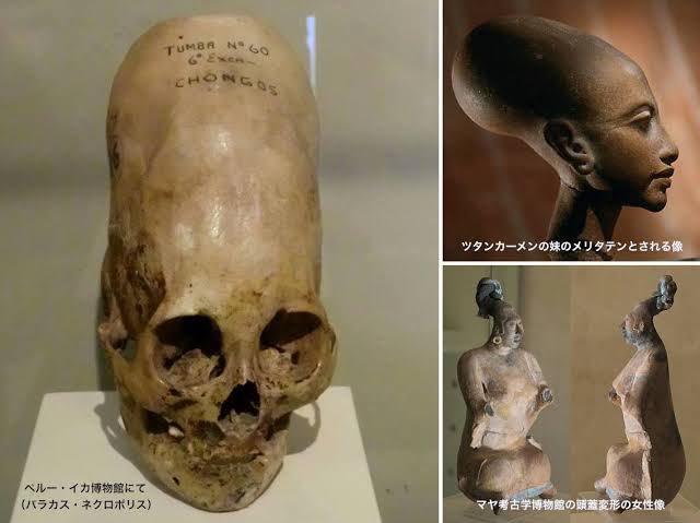 なおぴえん Ninja ZX-6R/ABS］636ccに排気量アップした2013年モデルが登場