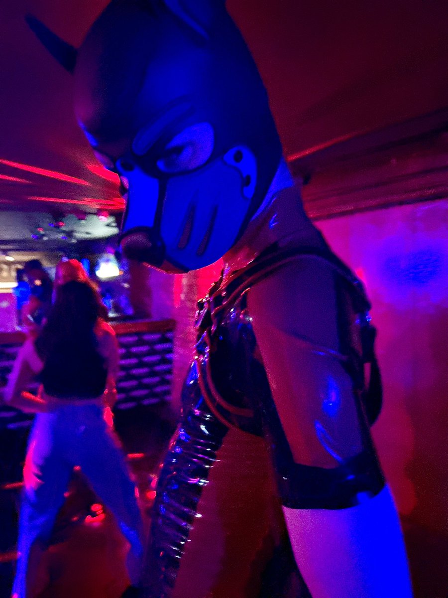LatexPupChucky's tweet photo. Another fun rubber pup night out in Auckland with @LatexPupToro #Latex #rubberpups #nzgay #gaylatex https://t.co/SWbxp6XQGd