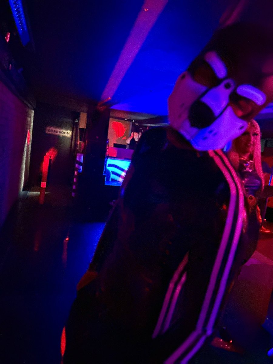 LatexPupChucky's tweet photo. Another fun rubber pup night out in Auckland with @LatexPupToro #Latex #rubberpups #nzgay #gaylatex https://t.co/SWbxp6XQGd