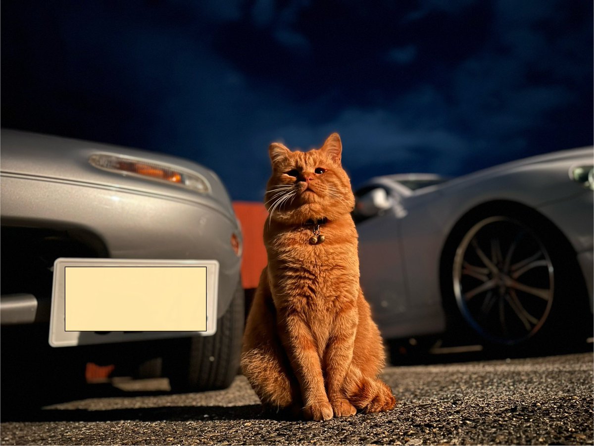 アジ吉くんも、カッコよく撮れる時もあるらしい。。。車屋のカレンダーに採用してあげたい（←親心😂）