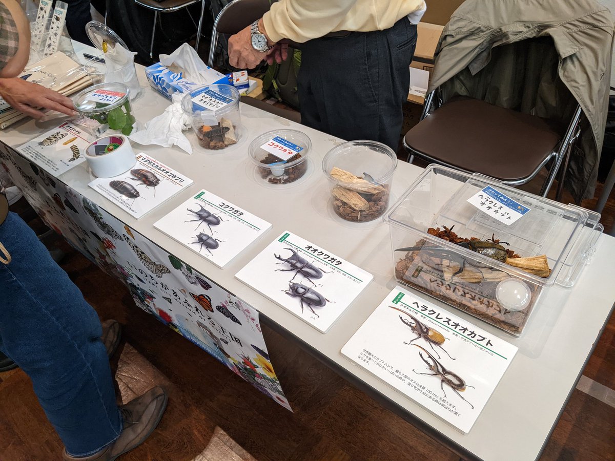 itakon_net's tweet image. 今日と明日、大阪自然史フェスティバルに参加しています、A会場44・45番ブースです、遊びに来てください。
#自然史フェス2024