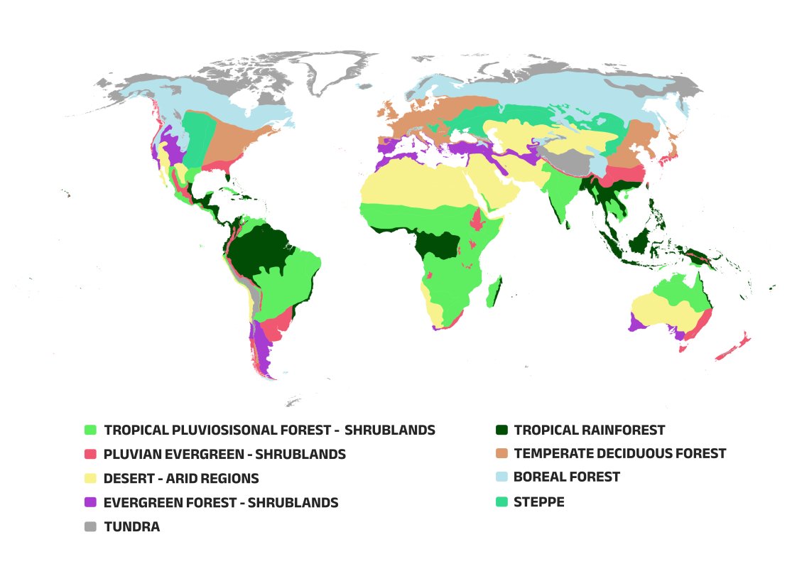 Lovsky_S's tweet photo. #30DayMapChallenge 🗺️                 

Day 14: World Map

Biomes of the world

#map #cartography #dataviz https://t.co/tl7111qgp4