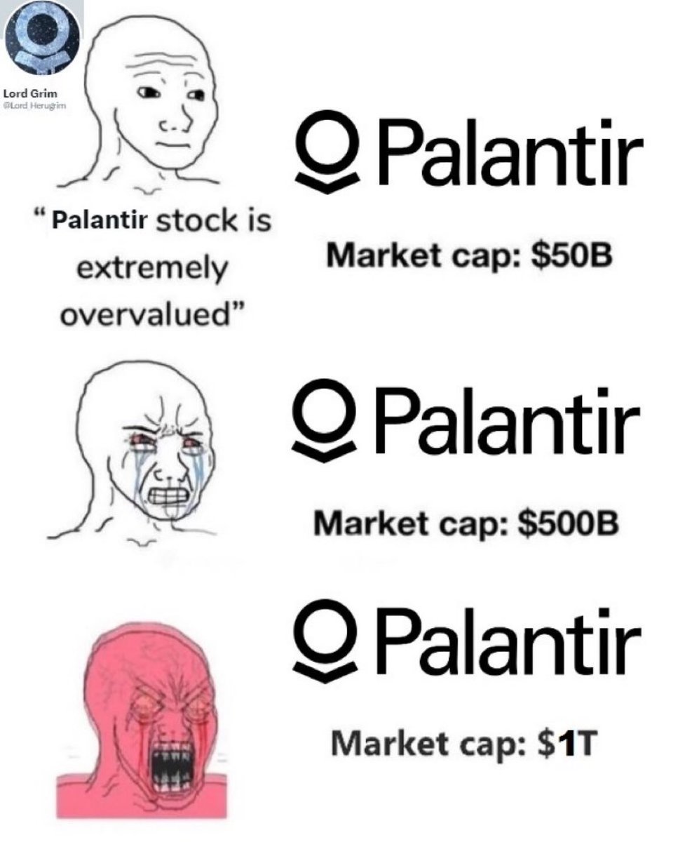 🤔 : 조심하세요. 팔란티어 주식은 심하게 고평가됐습니다. 😰 : 조심하라고 😱 : 조… @Lord_Herugrim