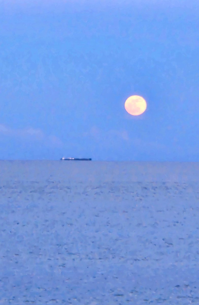 AngelaBrentHar1's tweet image. Super Beaver fullmoon magic, bringing a surge of potential ✨️ spiritual energy at beautiful Palm Beach Island, Florida. #ReconnectWithNature #FullMoon #moonrise #beach #moonlitnight #FridayCelebrations