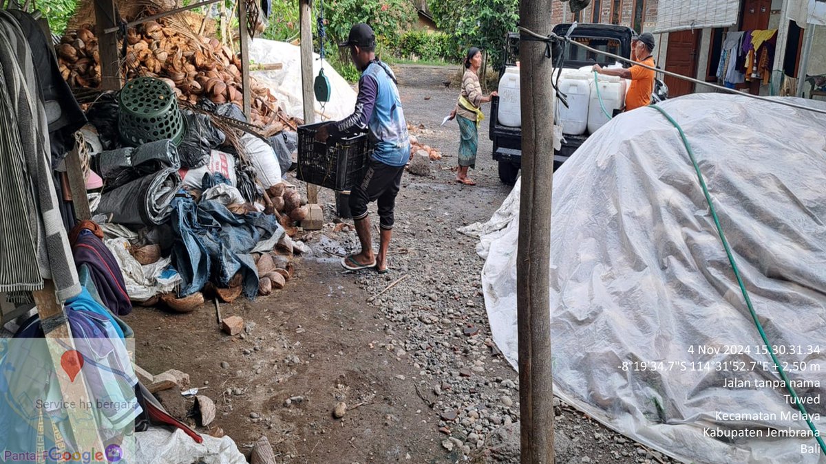 suendra3112's tweet photo. Senin (4/11/24), Nyoman Suendra, Luhkan Jembrana, di Pokdakan Mina Gutha, ds. Tuwed, kec.Melaya, melaporkan panen Lele, kolam beton, sebanyak 550 kg, luas 24 m², size 5-7 ekor/kg, harga 21000/kg
#GiatLuhkanSatminkalGondol  #Jembrana #Panen @bppsdm_gondol @bppsdm_kp @pusluhkp https://t.co/UDnHWcslhQ