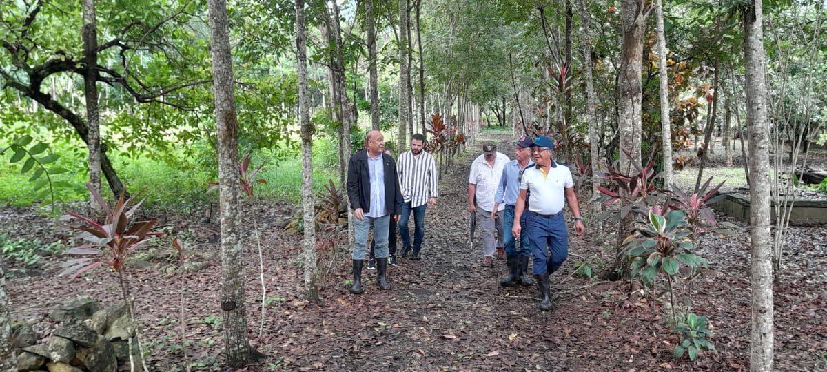 Siembra de árboles recordando a un amigo y hermano, Bienvenido. Junto a sus hijos y viuda ha sido un día memorable, abonamos su memoria dando vida a la tierra y oxígeno al aire que acoge su alma. #Amigoeterno