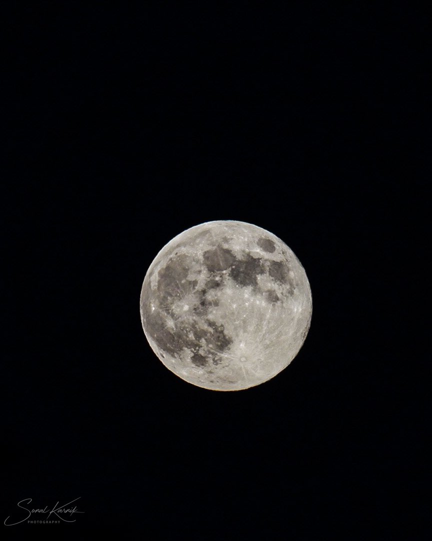 sk10's tweet photo. The Beaver Moon, the last supermoon for the year - rising this evening (Conifer, CO)
#cowx @BianchiWeather @CReppWx @9NEWS @KDVR https://t.co/NCGwwU7F85