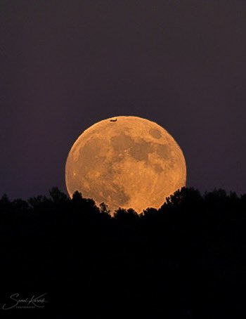 sk10's tweet photo. The Beaver Moon, the last supermoon for the year - rising this evening (Conifer, CO)
#cowx @BianchiWeather @CReppWx @9NEWS @KDVR https://t.co/NCGwwU7F85