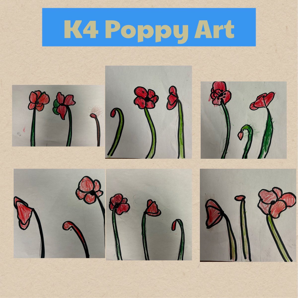 Roosloan's tweet image. K4 worked with #arthub and our Remembrance Day poem and #removebg  make a movie- all the poppies in the video were drawn by our students @ConestogaPS #peeleyc