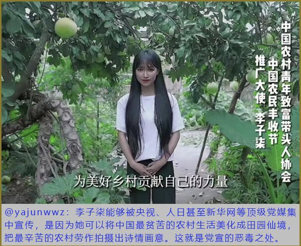 xinwendiaocha's tweet photo. 李子柒能够被央视、人日甚至新华网等顶级党媒集中宣传，是因为她可以将中国最贫苦的农村生活美化成田园仙境，把最辛苦的农村劳作拍摄出诗情画意。

这就是党宣的恶毒之处。 https://t.co/0jLKT0pjqK