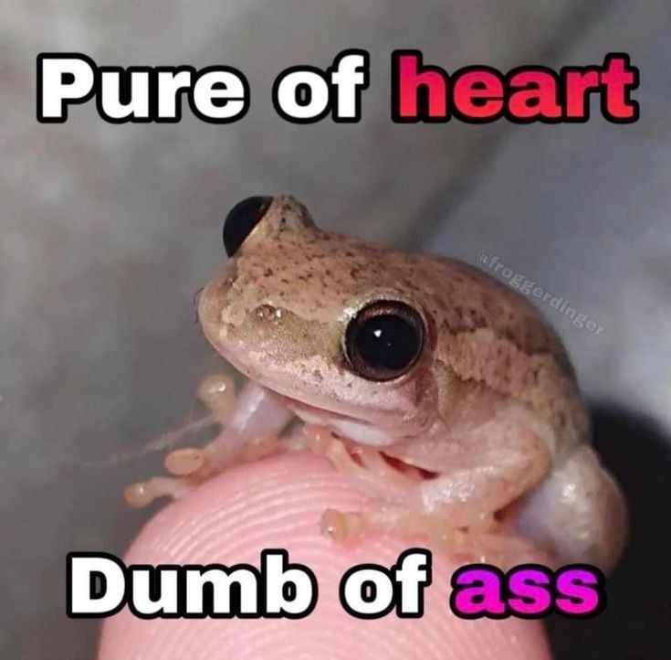 Aaaah adulting is so hard lol 😭

Planning stuff around work, putting on a human face where necessary, budgeting  and making sure I have many fail saves with my au/adhd ass-

It's a lot but very rewarding lol

🐸 Ribbit 🐸
#vtuber #vtubers #envtuber #ENVTuber #ADHD #Autism