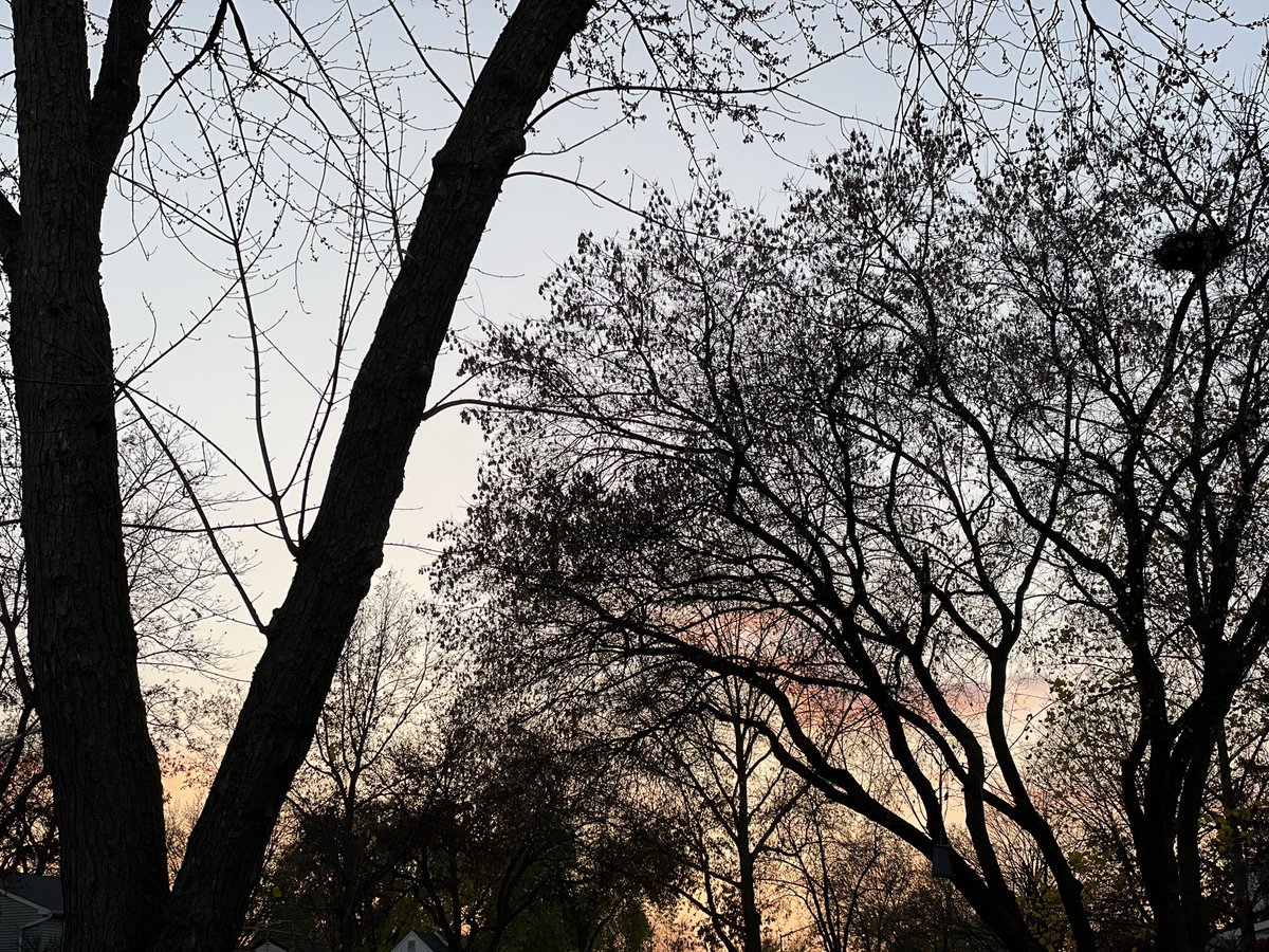 금요일이다~~🤗
노을이 지고 있는 지금은 5:10 pm