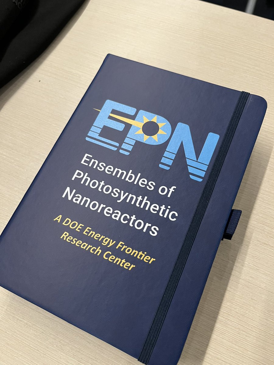 Bri McWhorter tweet media