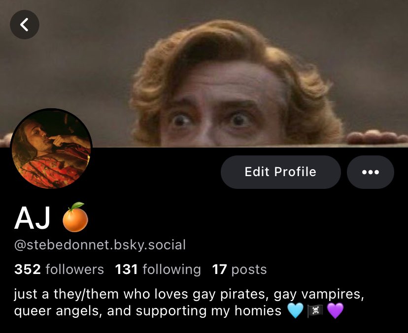 stebedonnet's tweet photo. hi i very much hope i see you there (ft. The OG stebedonnet profile pics) https://t.co/goUFufLWrF