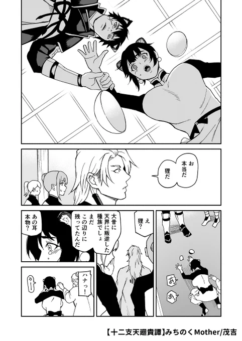 (5/5) 