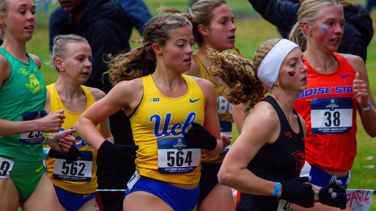 UCLA Cross Country tweet media
