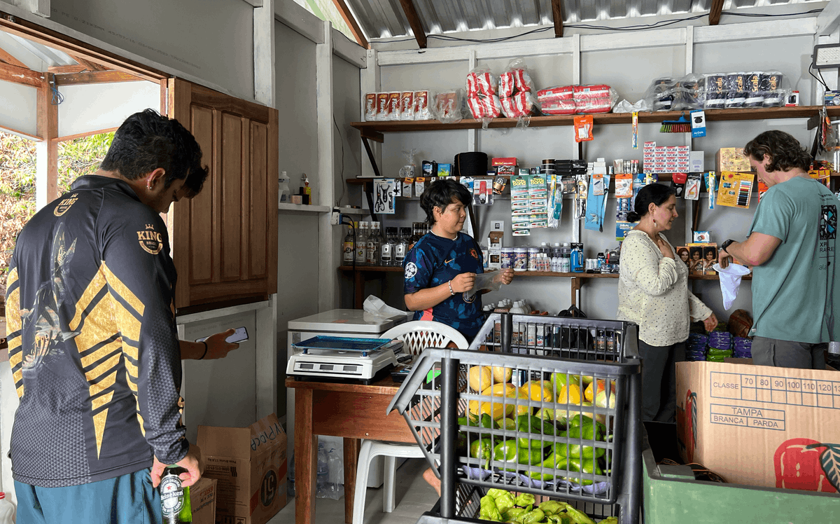 Celo.eth/acc 🦇 🌳 tweet media