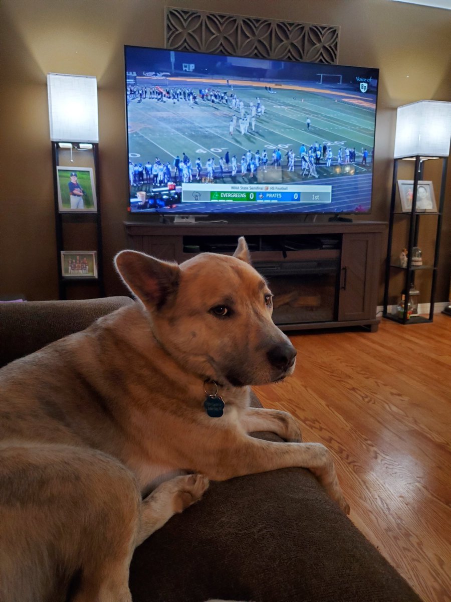 Krista Dolan tweet media