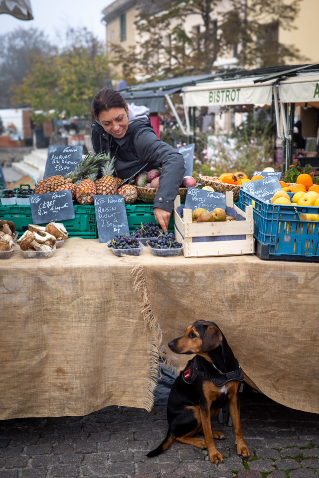 stephenhuenph's tweet photo. For the dog lovers

#streetphotography #photography #provence #dog #doglovers https://t.co/3WDFNfKSKf