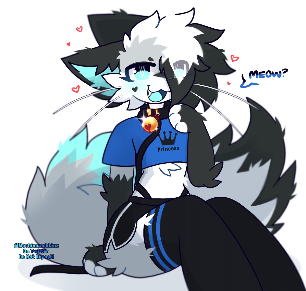 What's the first thing you'd do after encountering this kitty?! 🐱💙