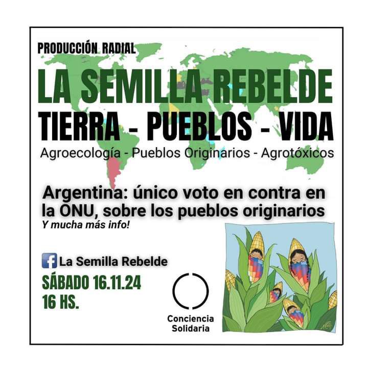 ConSol_ONG's tweet photo. 🖥#LaSemillaRebelde
Sábado 16.11.2024 - 16hs
Transmisión: https://t.co/JjJHGwrmxe
#MEDIOAMBIENTE #DERECHOSHUMANOS #PueblosOriginarios #Salud #Agroecología #Veganismo #AlimentaciónEvolutiva
#ColaboraciónEntreReinos #Agrotóxicos #Transgénicos #NoMonsanto
#ConcienciaSolidariaONG https://t.co/V3i1z4OwGt