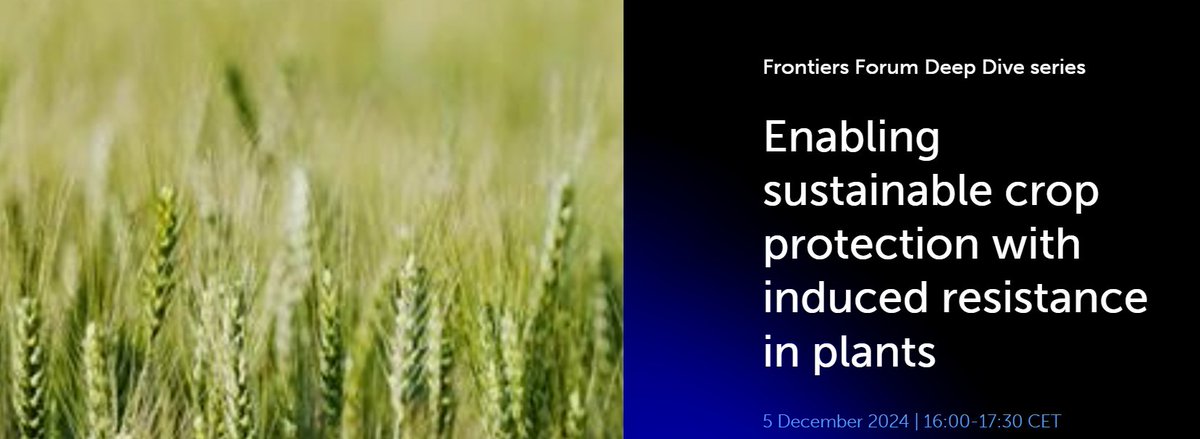 MoBi_UGent's tweet image. Ready for a deep dive 🌊 in #IR? Follow the @FrontiersIn Webinar on December 5 'Enabling sustainable crop protection with induced resistance in plants' including MoBi's @TinaKyndt ! forum.frontiersin.org/science-event-…