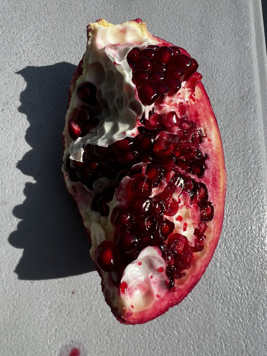 gothrkive's tweet photo. I love pomegranate season ♡ https://t.co/tfVNymiXwh