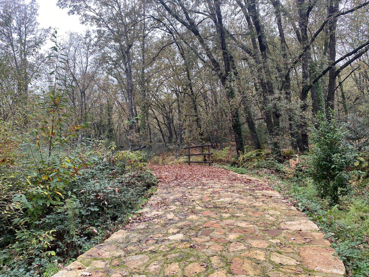 alaveradegredos's tweet photo. #LaVera / El DG de Sostenibilidad, German Puebla, ha visitado esta semana las obras del Centro de Educación Ambiental de #Cuacos de Yuste acompañado por el alcalde, José María Hernández. La inversión de la Junta para la adecuación y accesibilidad supera el millón de euros. https://t.co/lmDQVIO3wc