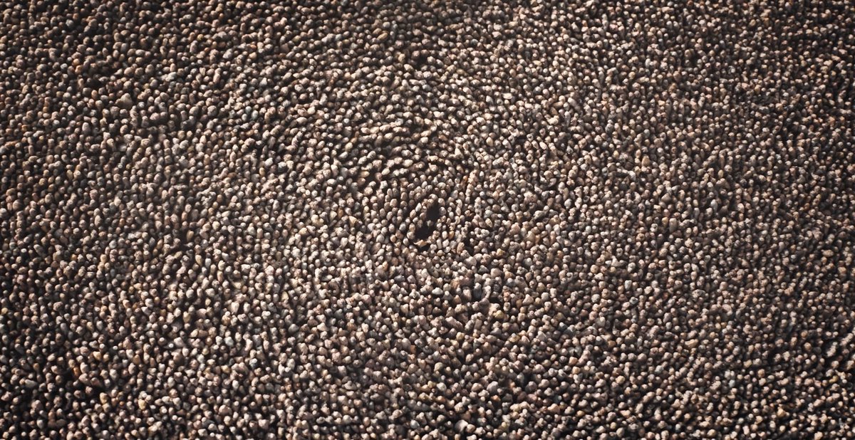 Columned tweet media