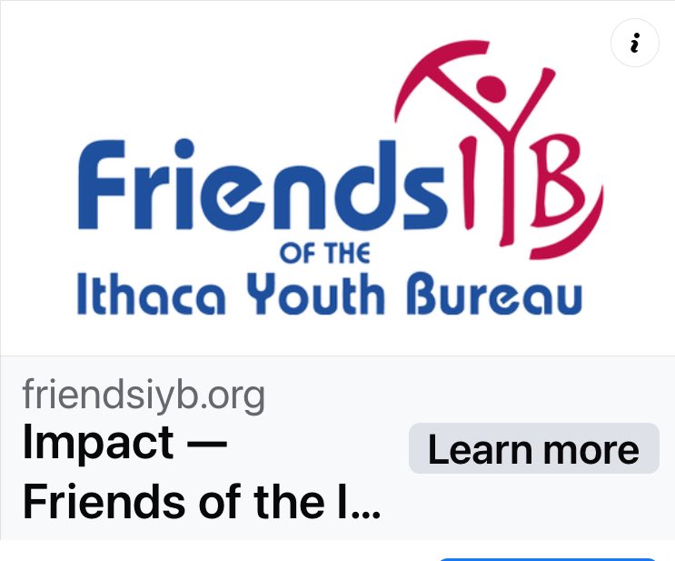 FriendsIYB's tweet photo. Through generosity of community members, FIYB funded IYB needs:
• Replaced three soccer goals 
• Provided tents for Outings
• Increased resources for scholarships
• Secured an Automatic External Defibrillator for Recreation Division
• Supported Schreurs Program's NYC trip https://t.co/GNMzvNtNVZ