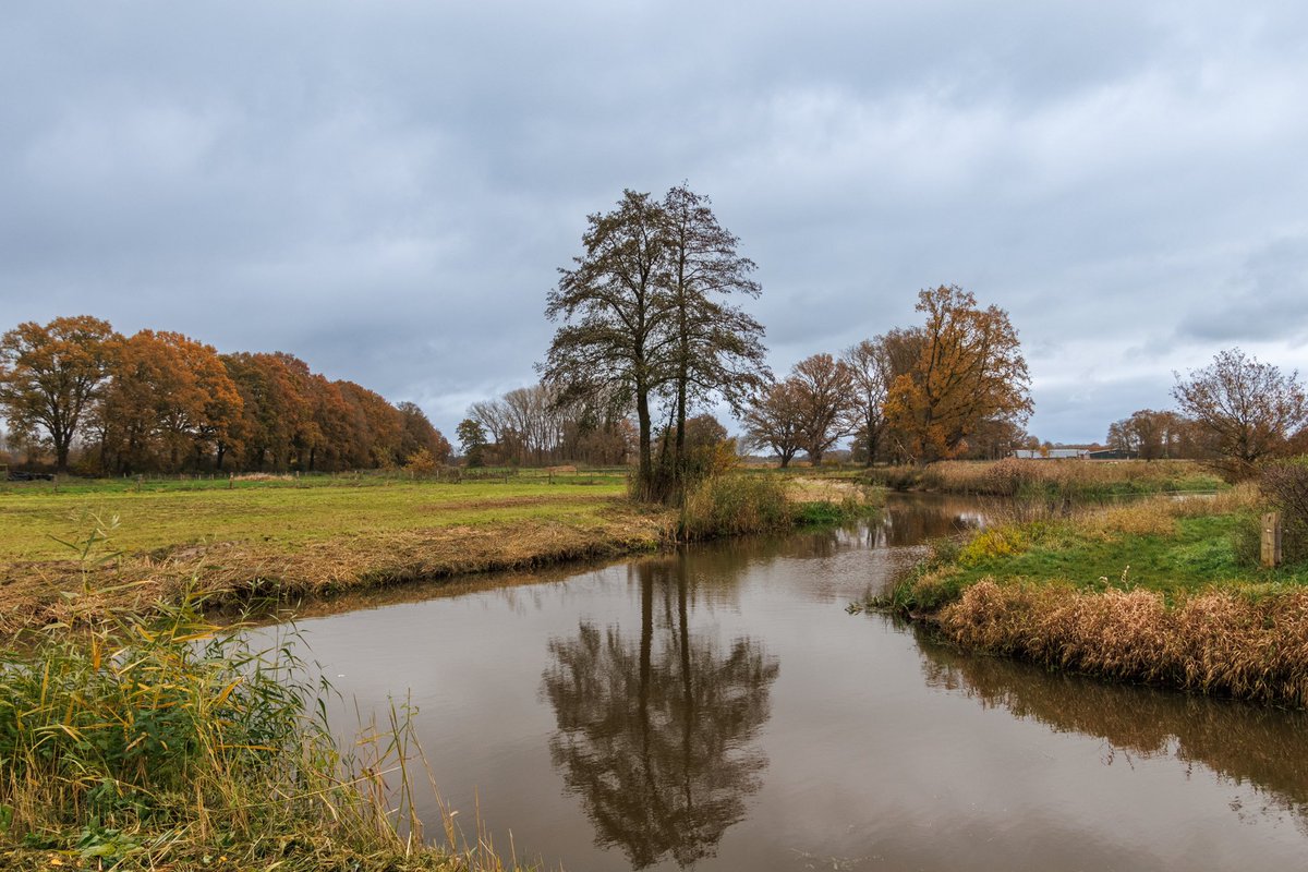 AnnySpoolder's tweet photo. Nog wat herfstkleuren in ons mooie #Twente #Notter #Grimberg #Wierden #Pelmolen #Rijssen #RijssenHolten #natuur #herfst ๐๐๐โ๐ซ๐ฅฎ https://t.co/7aYeXYajhi