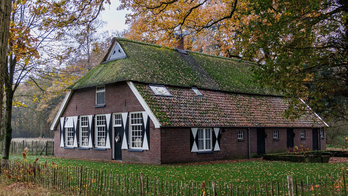 AnnySpoolder's tweet photo. Nog wat herfstkleuren in ons mooie #Twente #Notter #Grimberg #Wierden #Pelmolen #Rijssen #RijssenHolten #natuur #herfst ๐๐๐โ๐ซ๐ฅฎ https://t.co/7aYeXYajhi