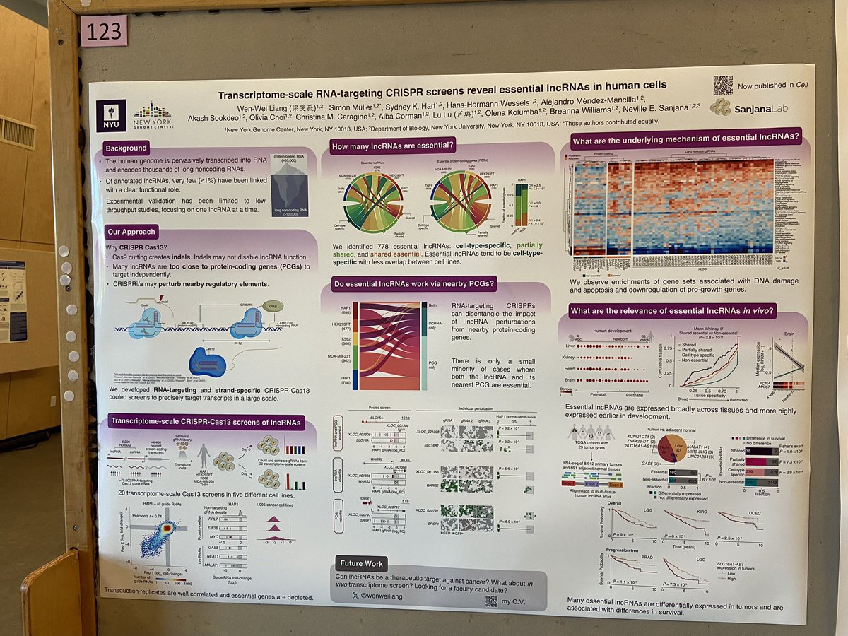 Excited to share our recent Cell publication in #cshldata24 #biodata24! Drop by #123 at Busch to know more about identification of essential lncRNAs using new kind of CRISPR screen!