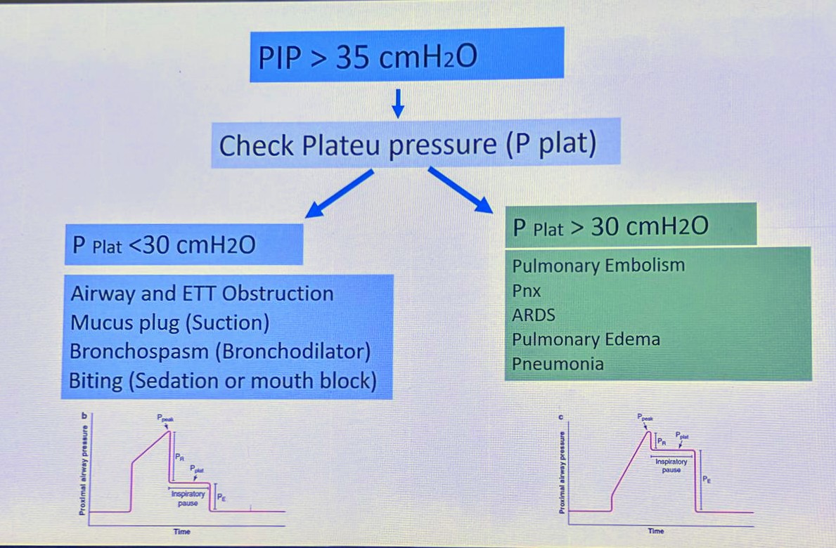 Erkan Göksu: If PIP (Peak Inspiratory Pressure) is high, check for the plateau pressure and here are the reasons why... #EACEM2024 #TATKON2024